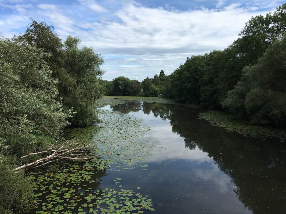 Wanderungen in und um Hamburg